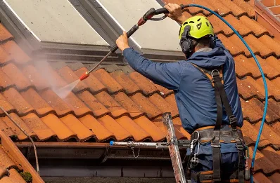Démoussage et hydrofuge de toiture aux Roises